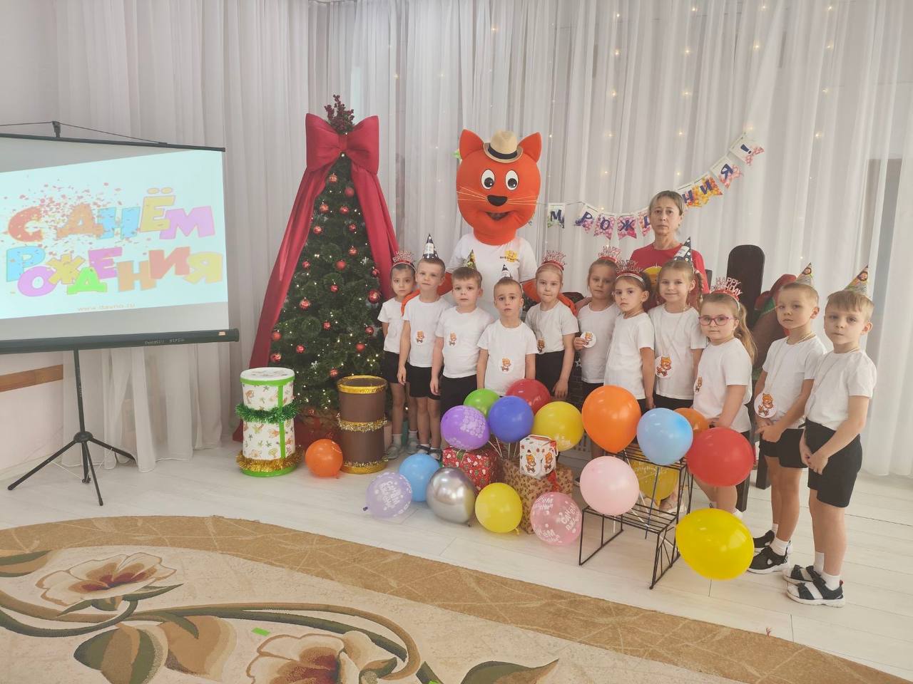 День рождения  кота  Алесика